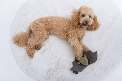 Oh Charlie Dog Toy Bat