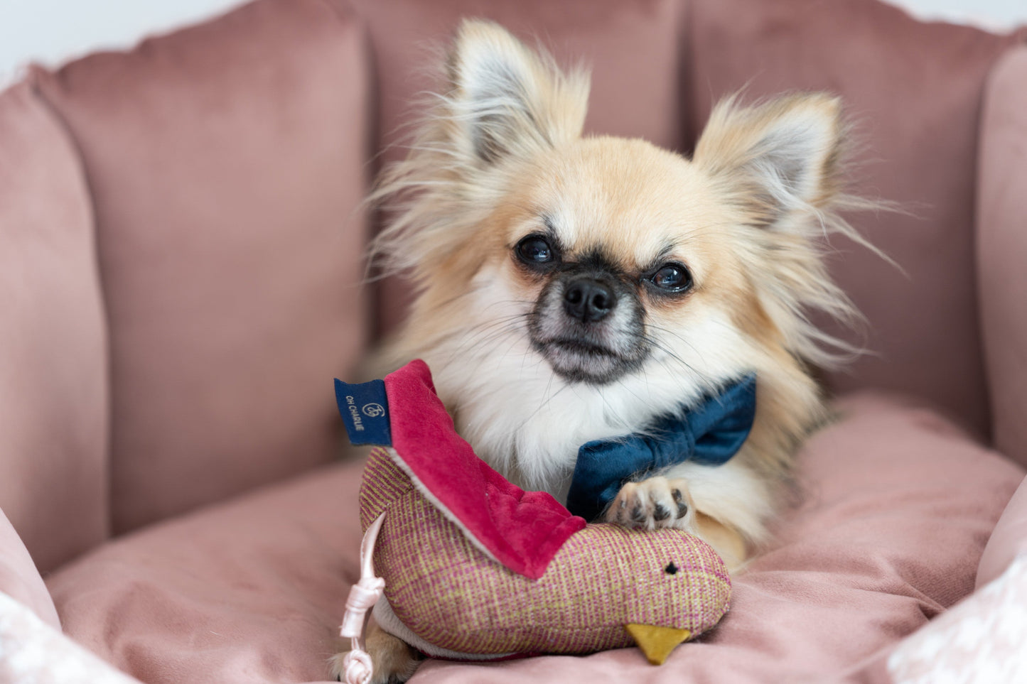 Oh Charlie Dog Toy Bird