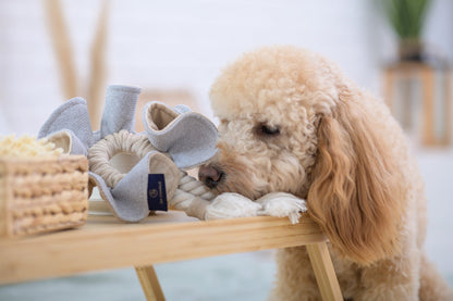 Oh Charlie Dog Toy Boho