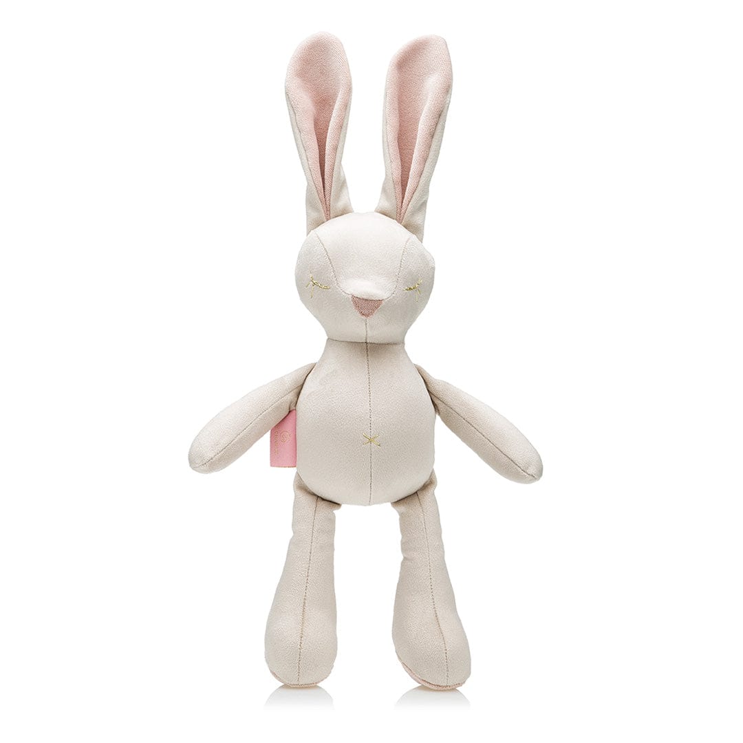 Oh Charlie Dog Toy