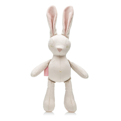 Oh Charlie Dog Toy