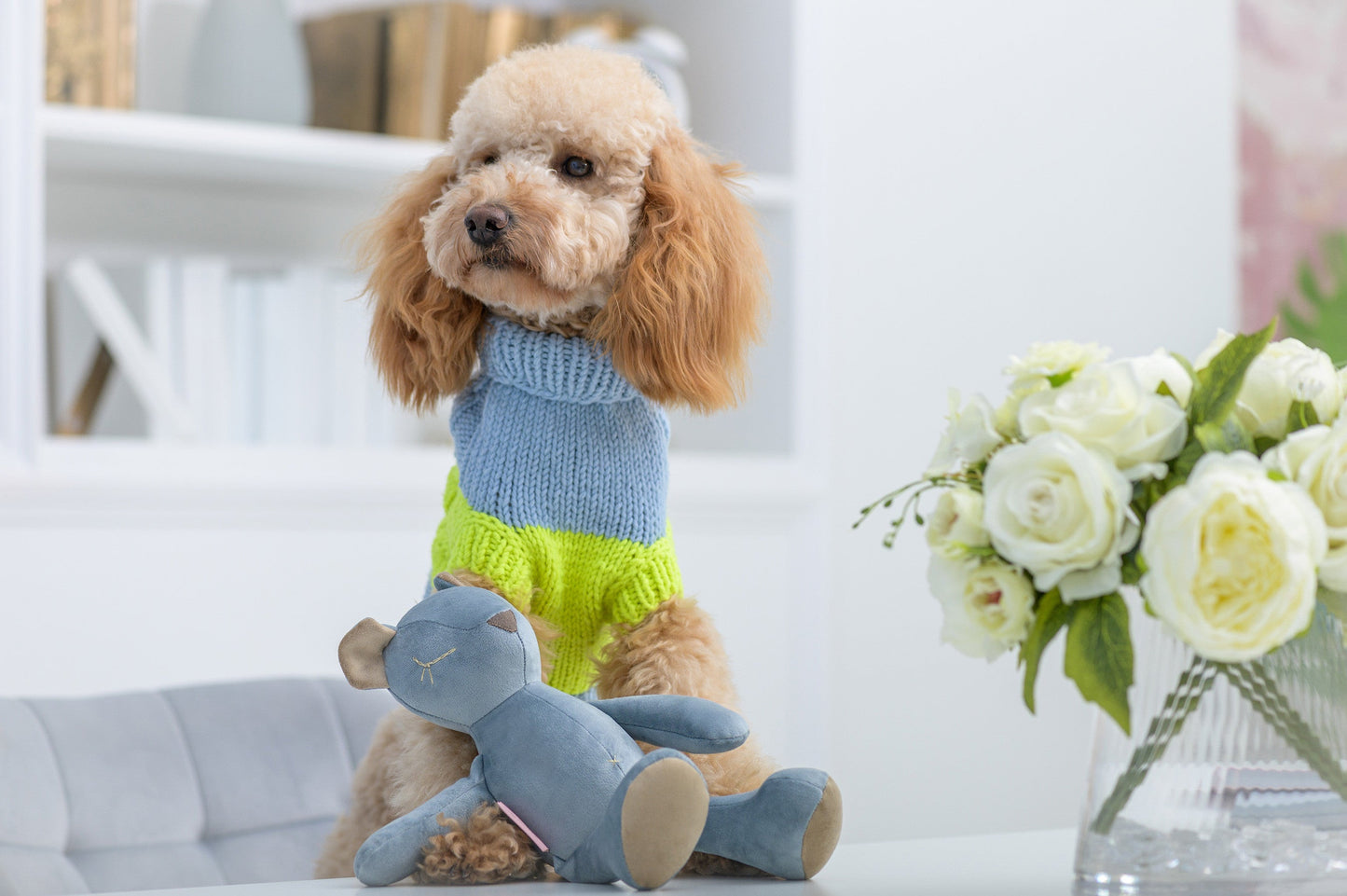 Oh Charlie Dog Toy