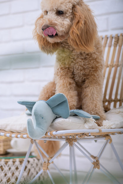 Oh Charlie Dog Toy Elephant