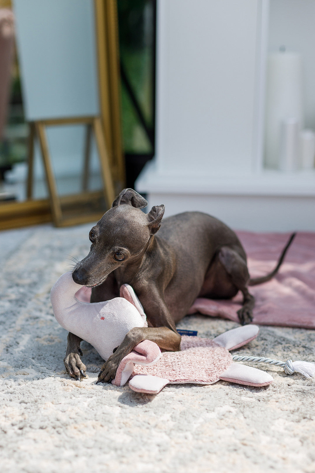 Oh Charlie Dog Toy Elephant