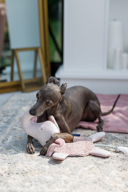 Oh Charlie Dog Toy Elephant
