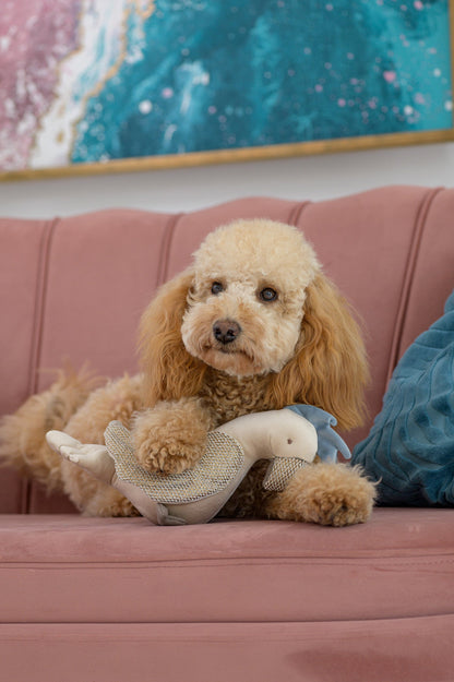 Oh Charlie Dog Toy Parrot Zoe