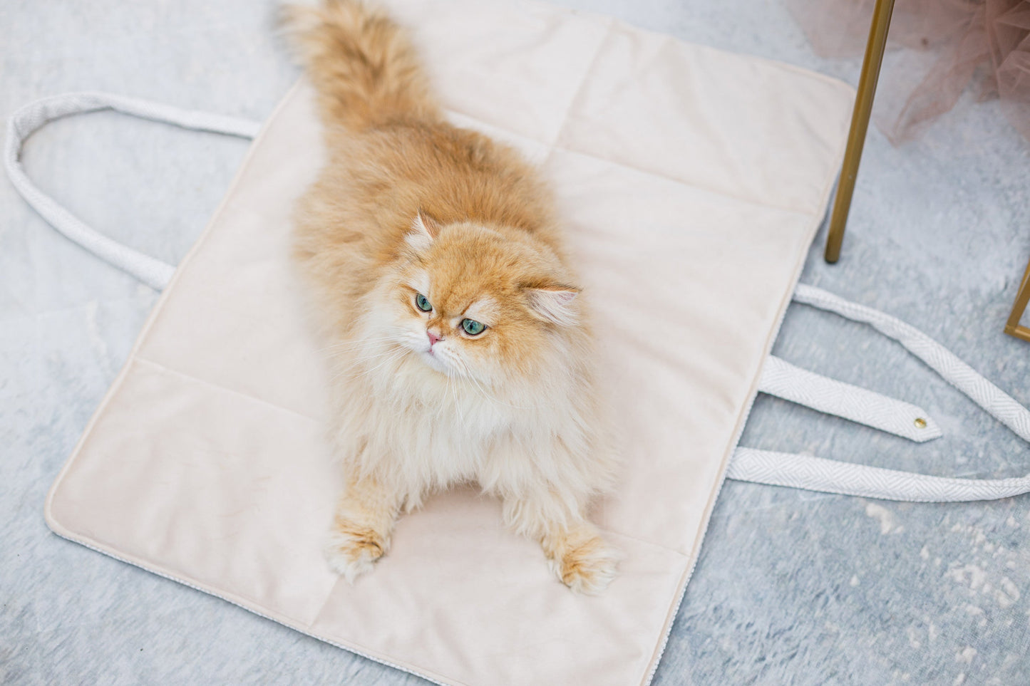 Oh Charlie Dog Travel Mat Florence