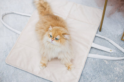 Oh Charlie Dog Travel Mat Florence