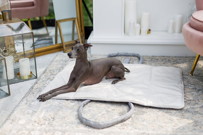 Oh Charlie Dog Travel Mat Florence
