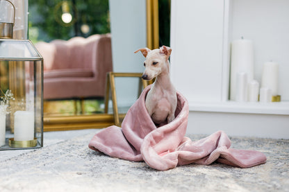 Oh Charlie Pet Blanket Magic