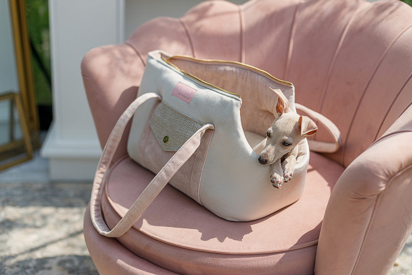 Oh Charlie Pet Carrier Essence