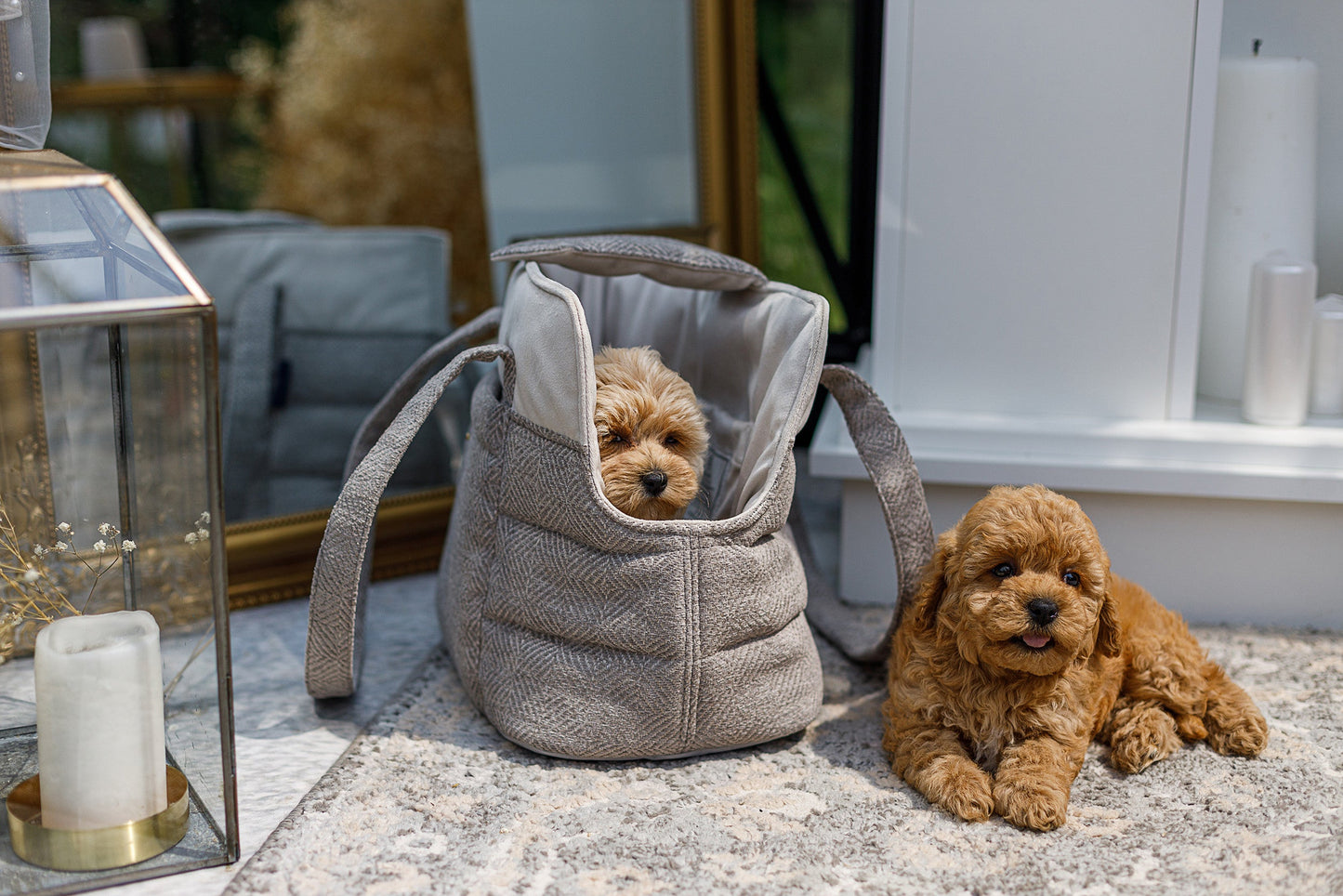 Oh Charlie Pet Carrier Florence