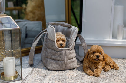 Oh Charlie Pet Carrier Florence