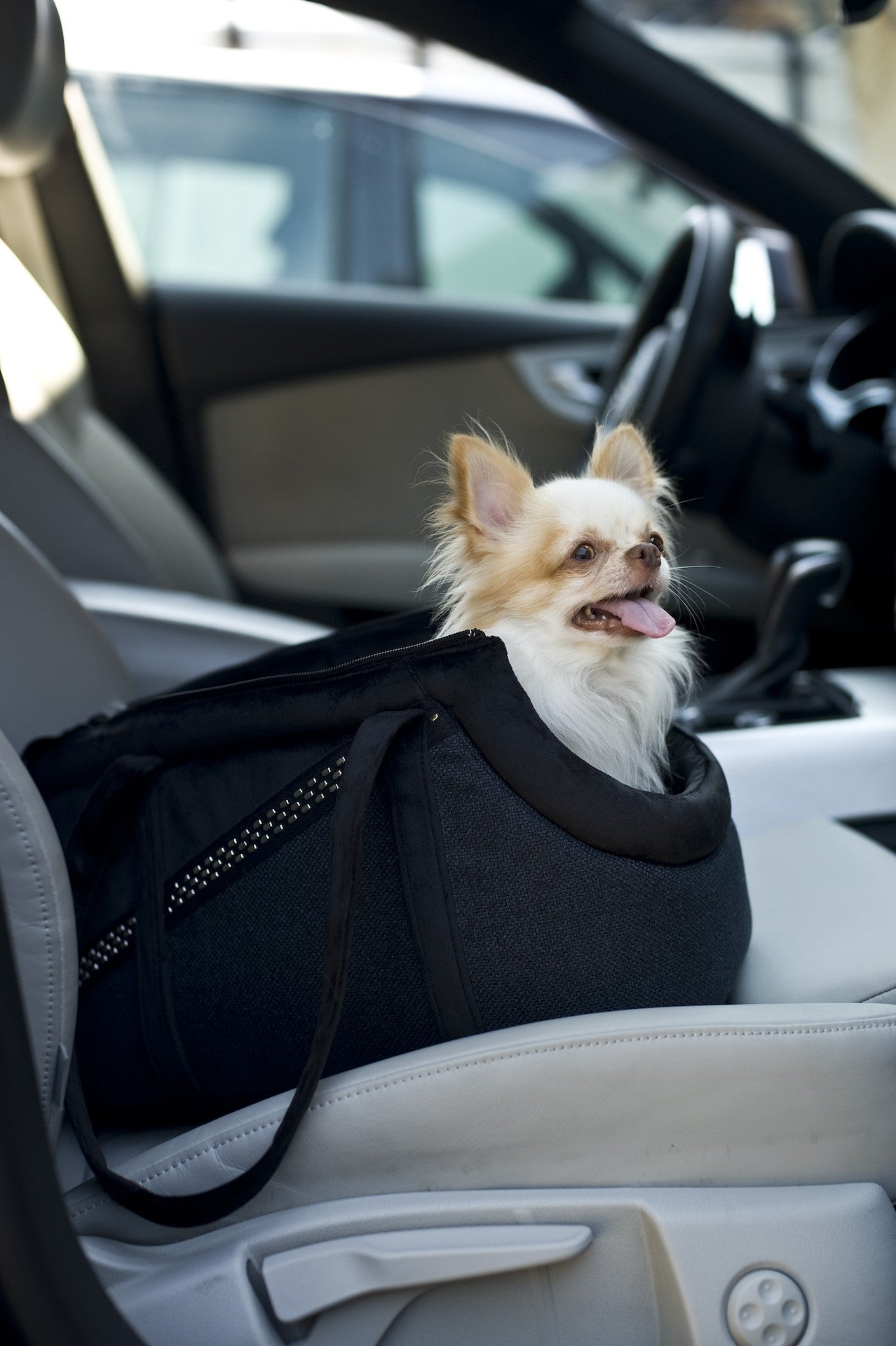 Oh Charlie Pet Carrier Moonlight