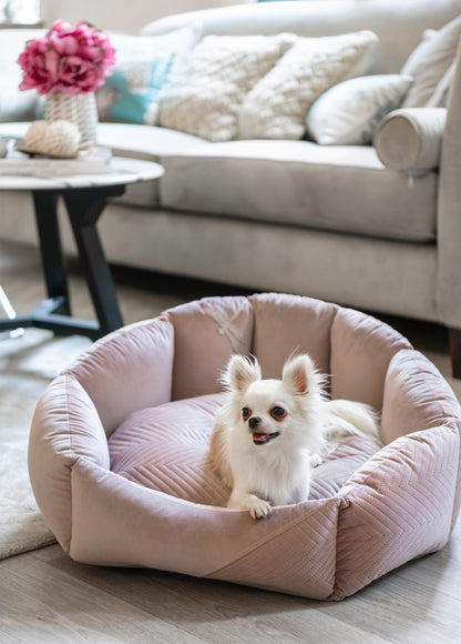 Oh Charlie Round Dog Bed Blissy