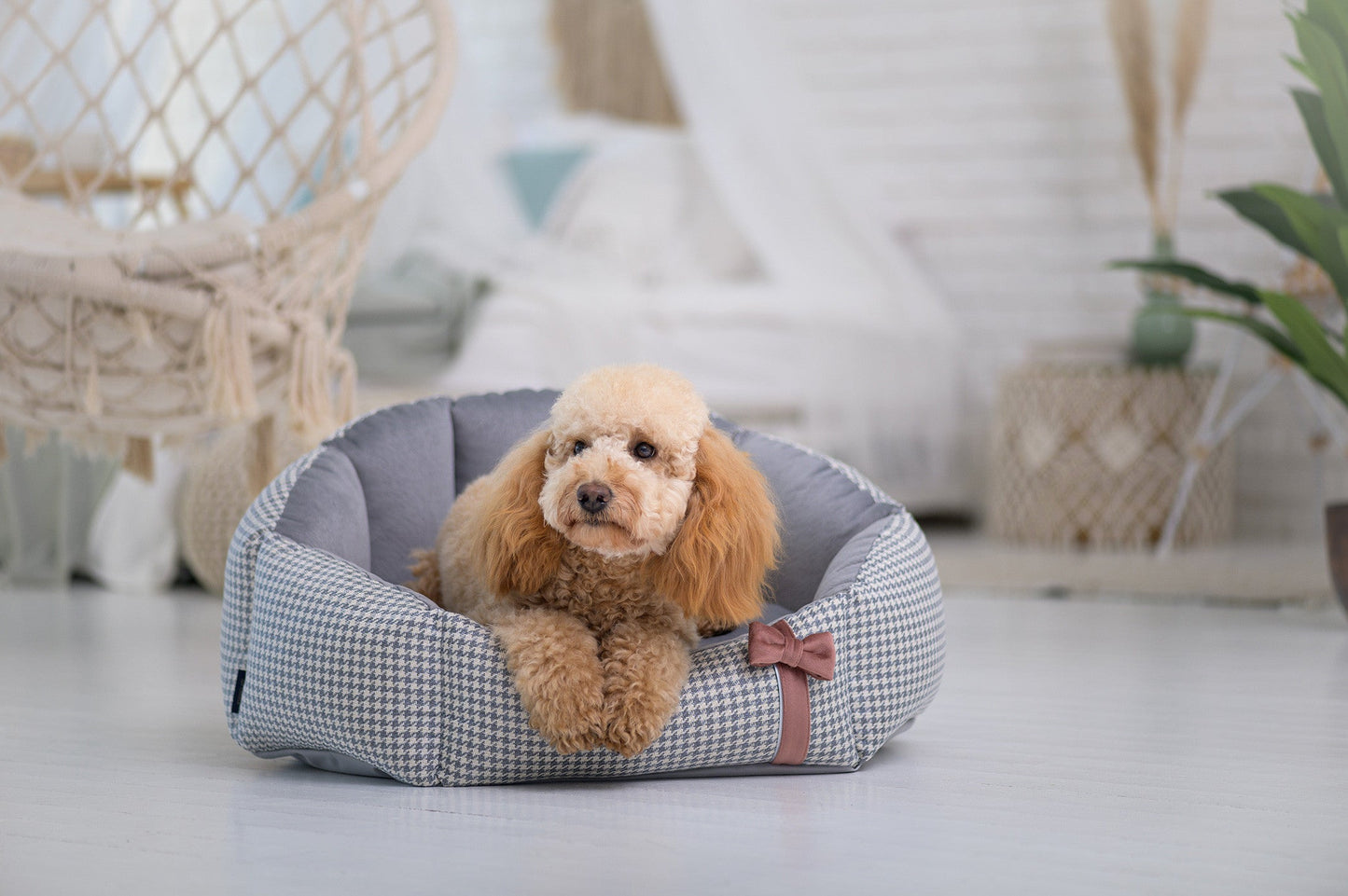 Oh Charlie Round Dog Bed Finessa