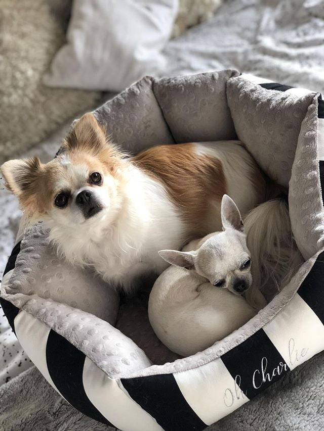 Oh Charlie Round Dog Bed Lisbon