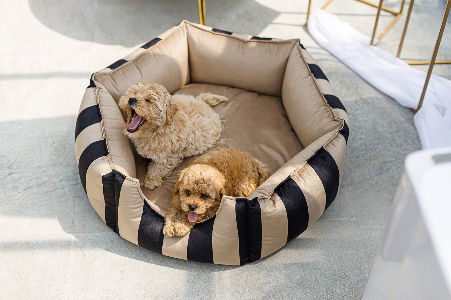 Oh Charlie Round Dog Bed Maison