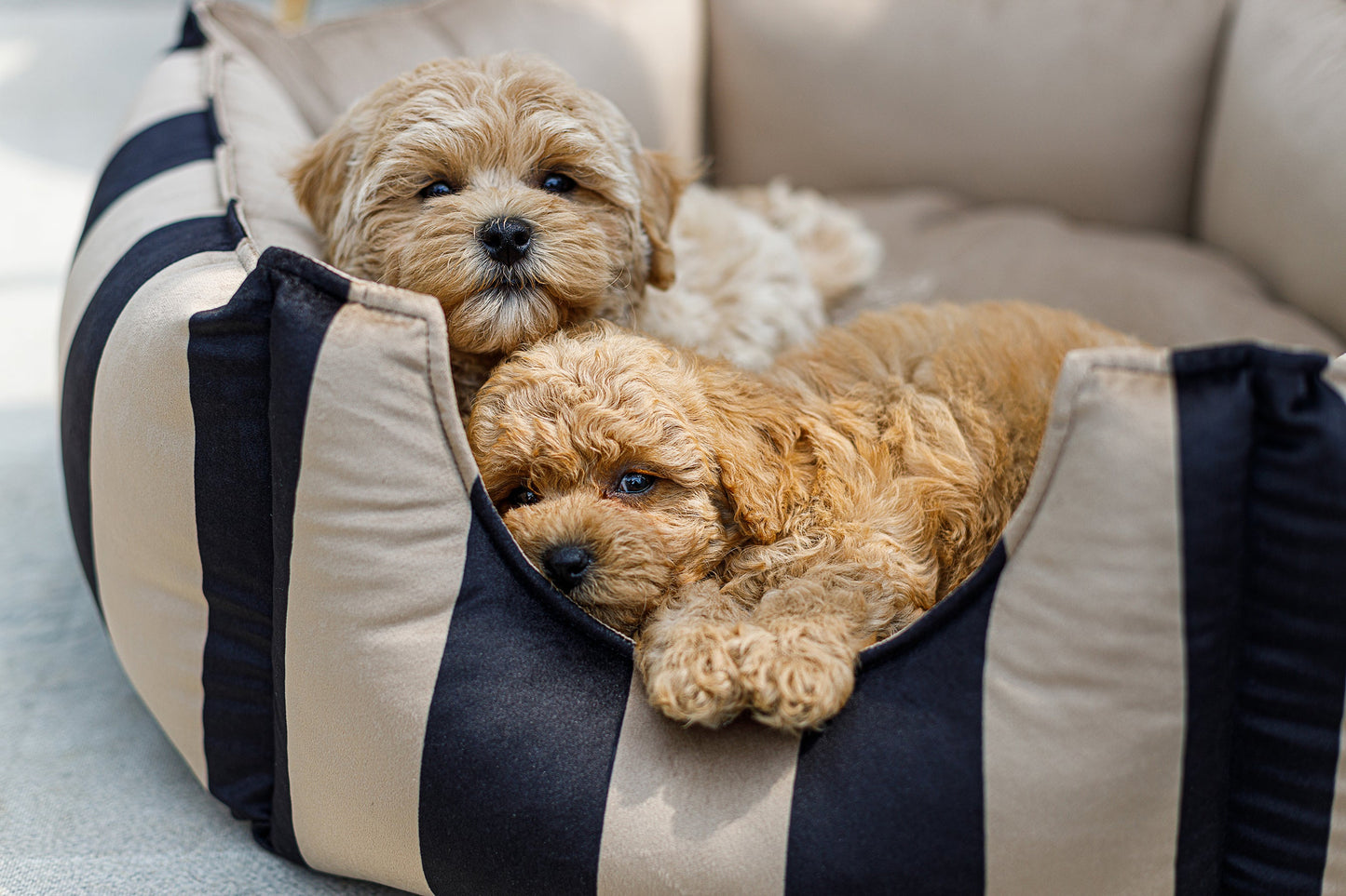 Oh Charlie Round Dog Bed Maison