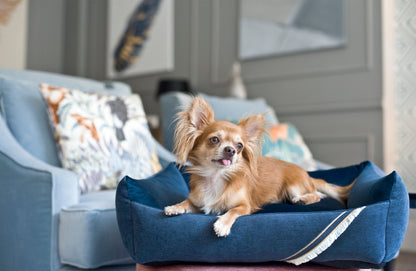 Oh Charlie Square Dog Bed Allure