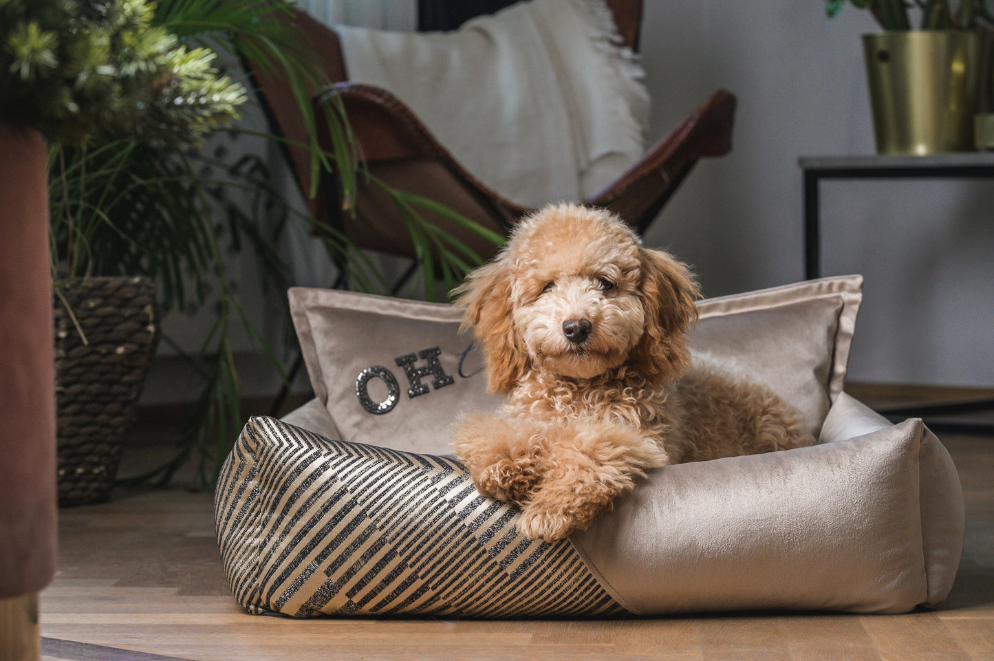 Oh Charlie Square Dog Bed Devine