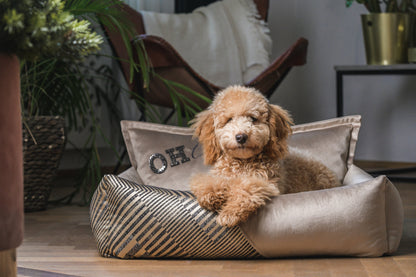 Oh Charlie Square Dog Bed Devine