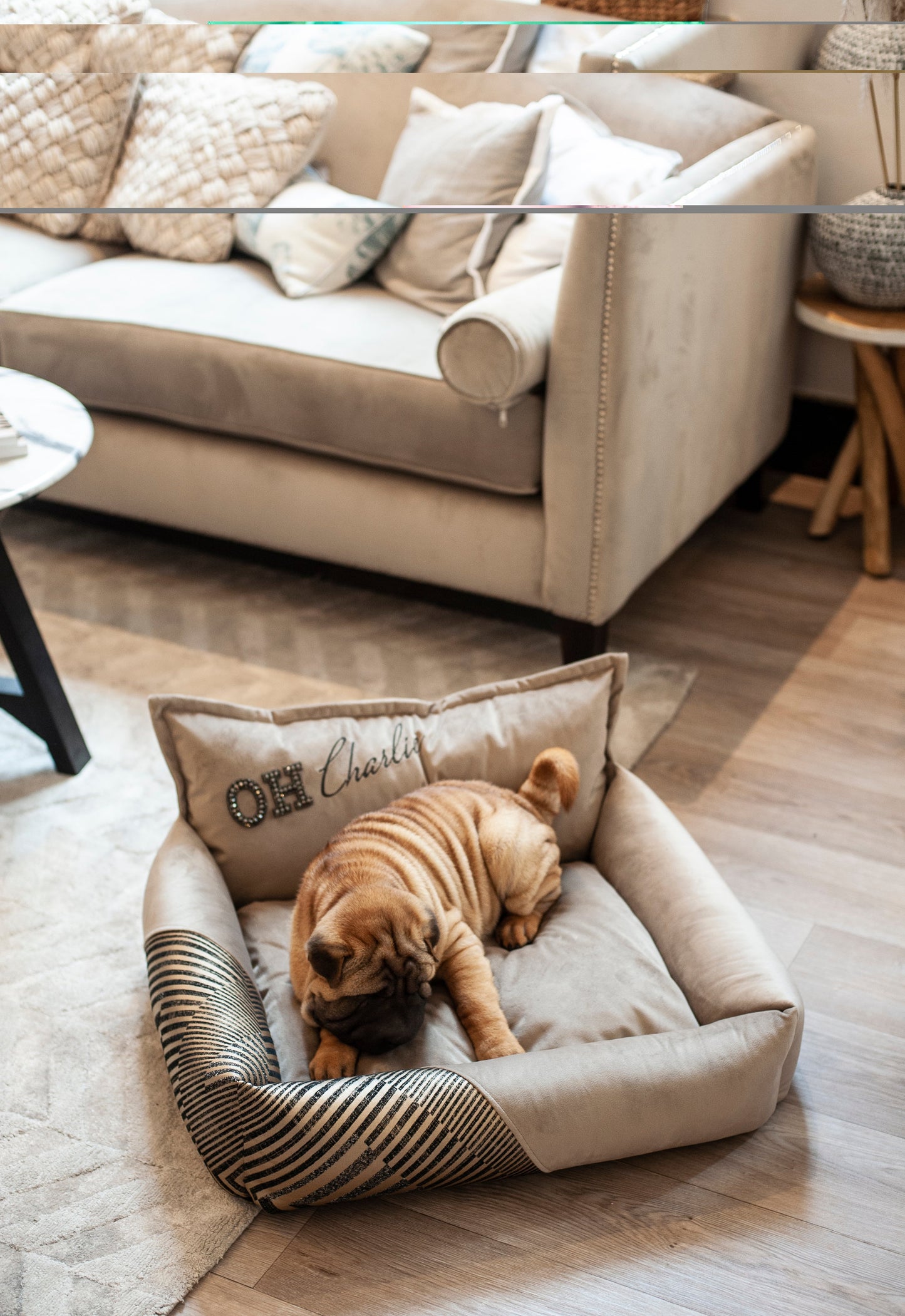 Oh Charlie Square Dog Bed Devine