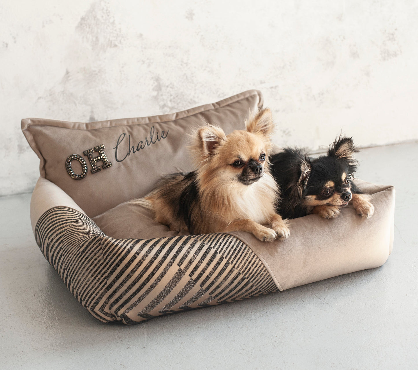 Oh Charlie Square Dog Bed Devine