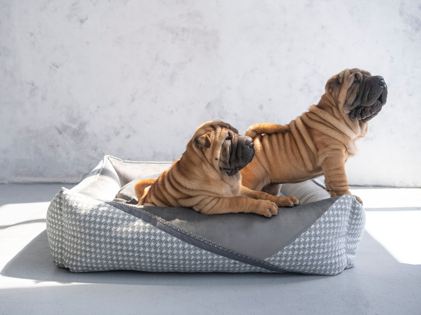 Oh Charlie Square Dog Bed Glamour Deluxe