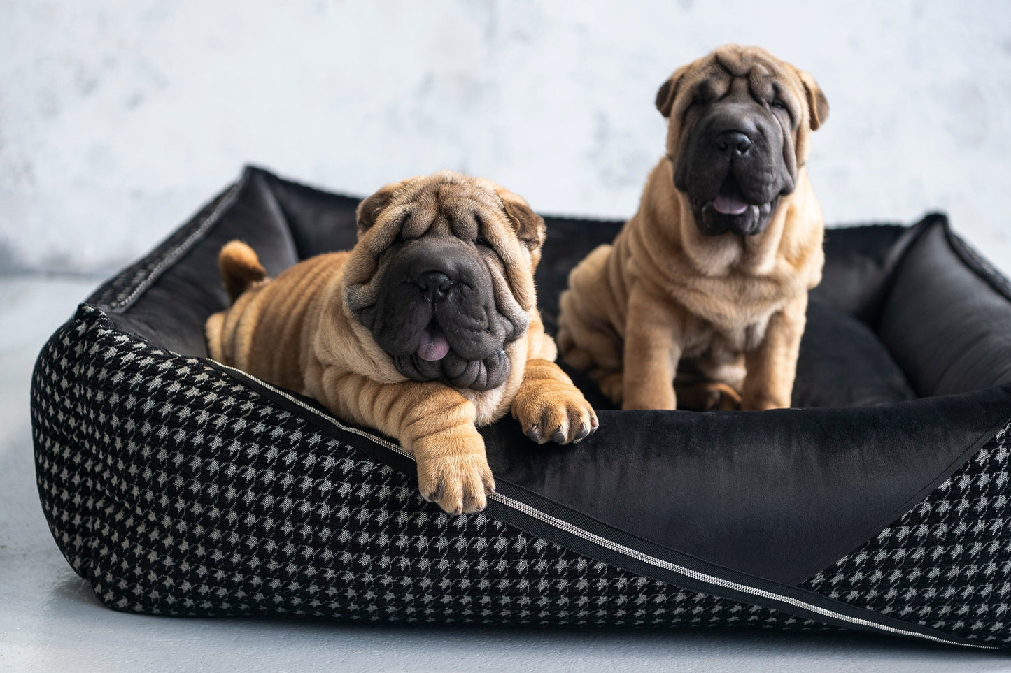 Oh Charlie Square Dog Bed Prestige Deluxe