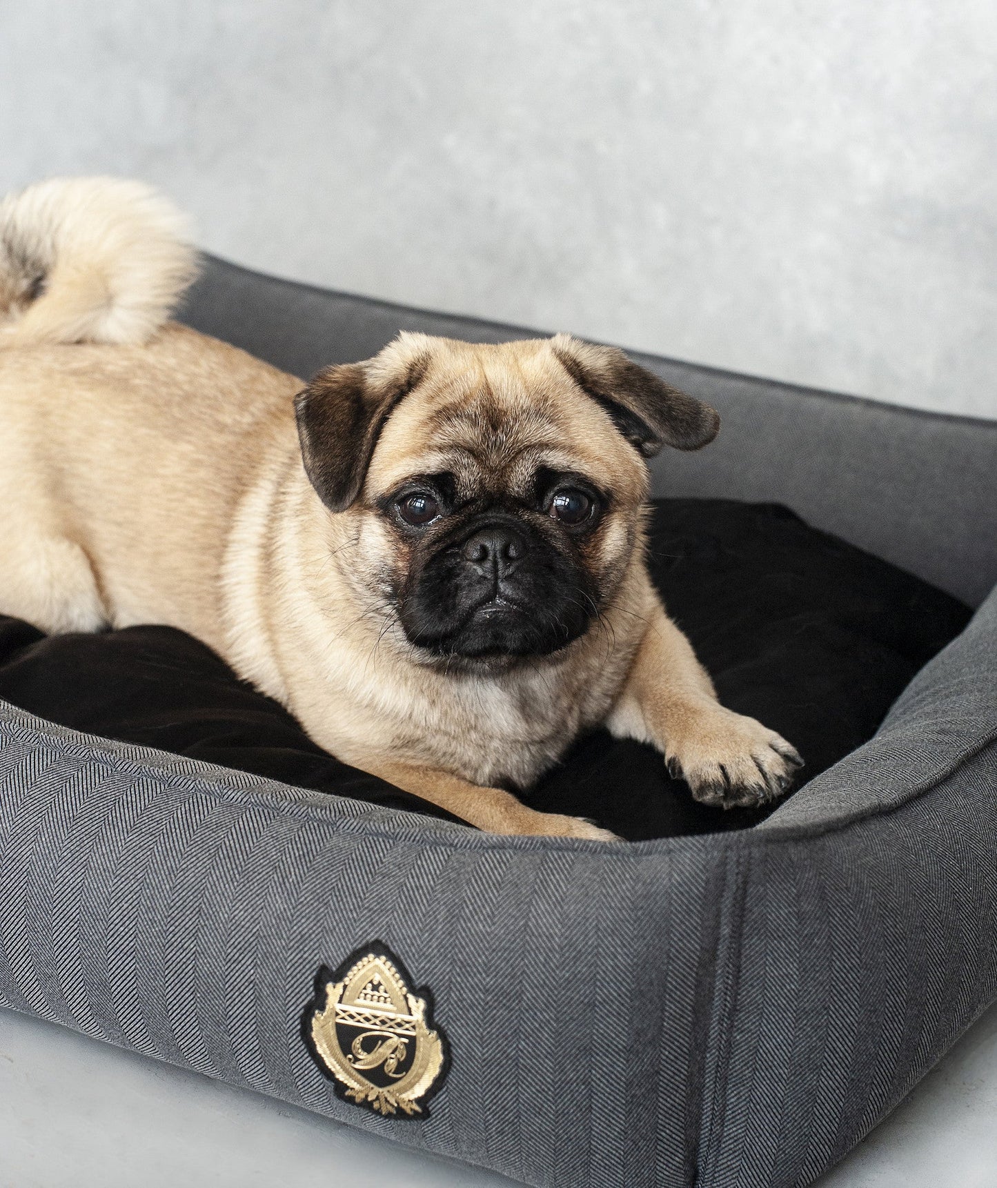 Oh Charlie Square Dog Bed Royal