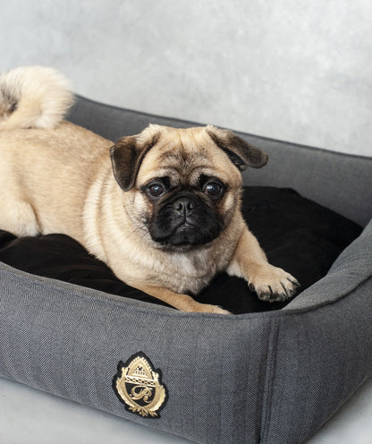 Oh Charlie Square Dog Bed Royal