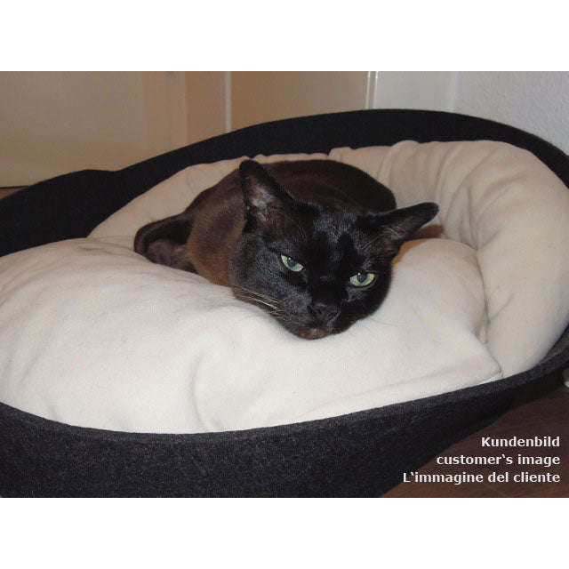 Pet Interiors ARENA Felt Designer Cat Bed