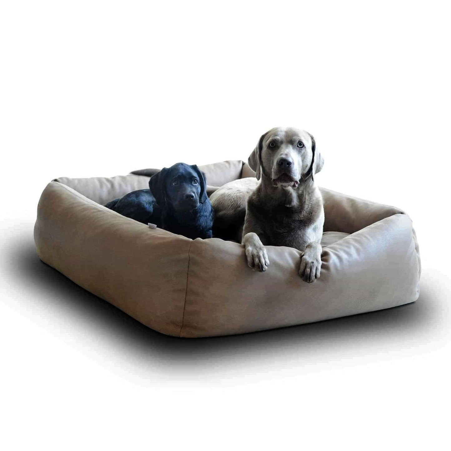 Pet Interiors Buffalo Leather Dog Bed BOOX