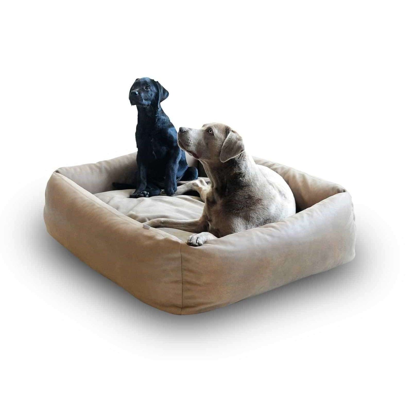 Pet Interiors Buffalo Leather Dog Bed BOOX
