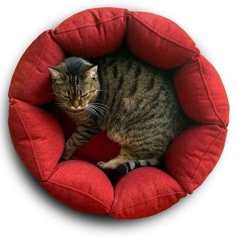 Pet Interiors Calming Cat Nest BLOOM