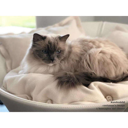 Pet Interiors Cosmo Buffalo Leather Deluxe Cat Bed