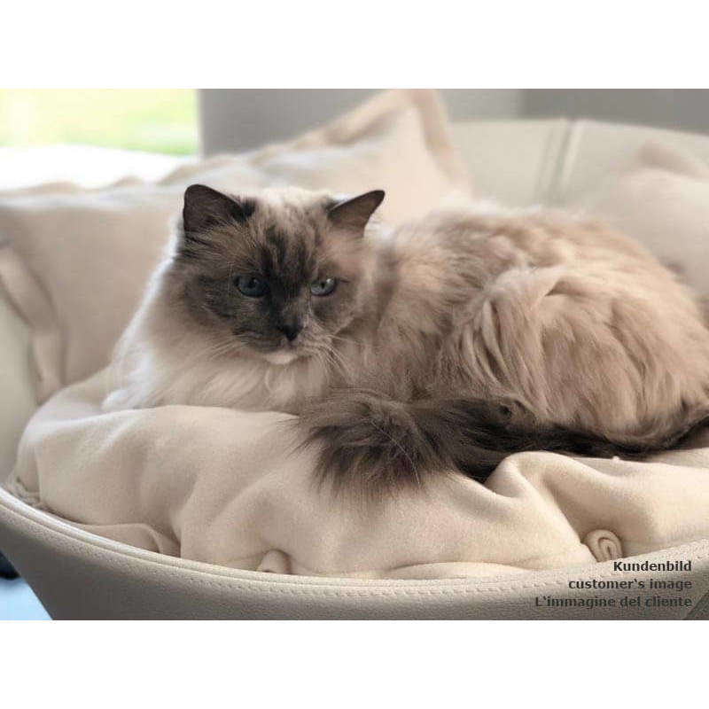 Pet Interiors Cosmo Leather Deluxe Cat Bed