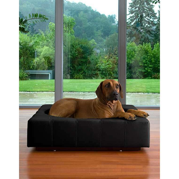 Pet Interiors Cube Genuine Leather Dog Bed