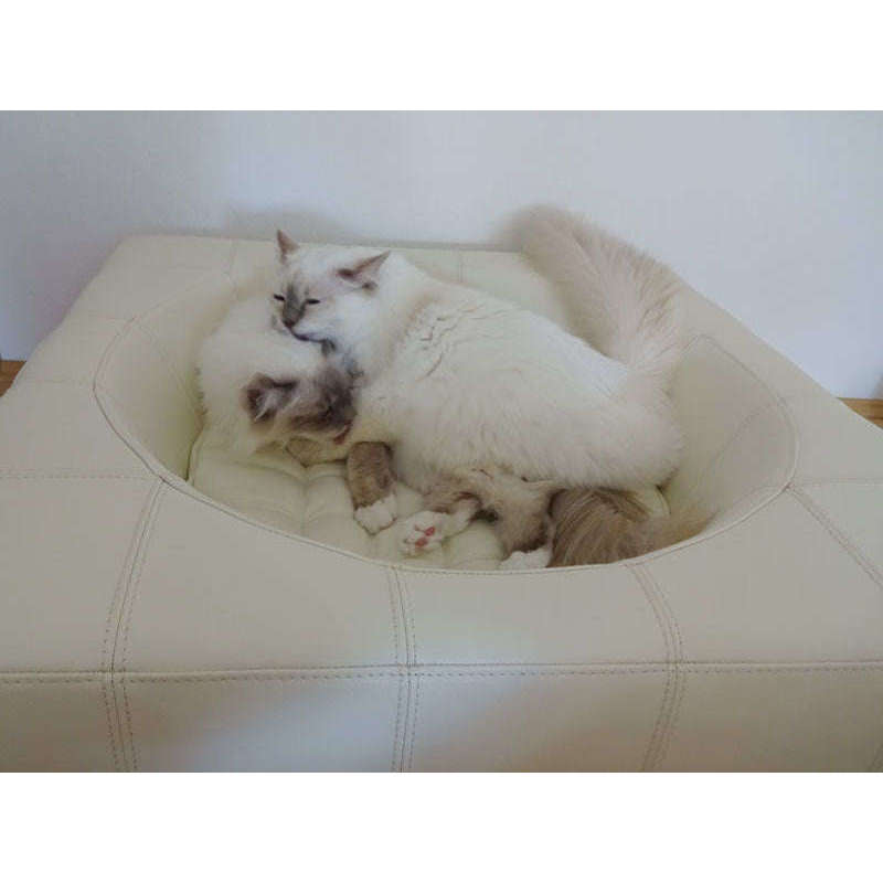 Pet Interiors Cube Genuine Leather Dog Bed