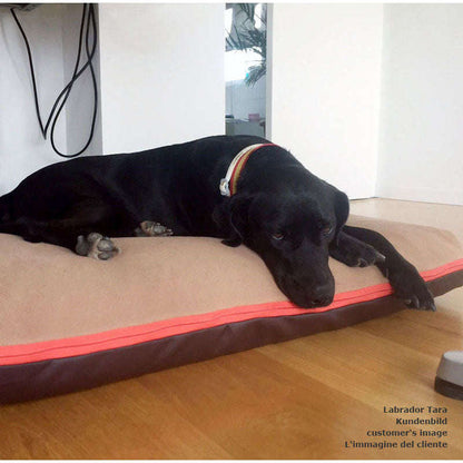Pet Interiors Dog Cushion with Removable Cover PAULINE