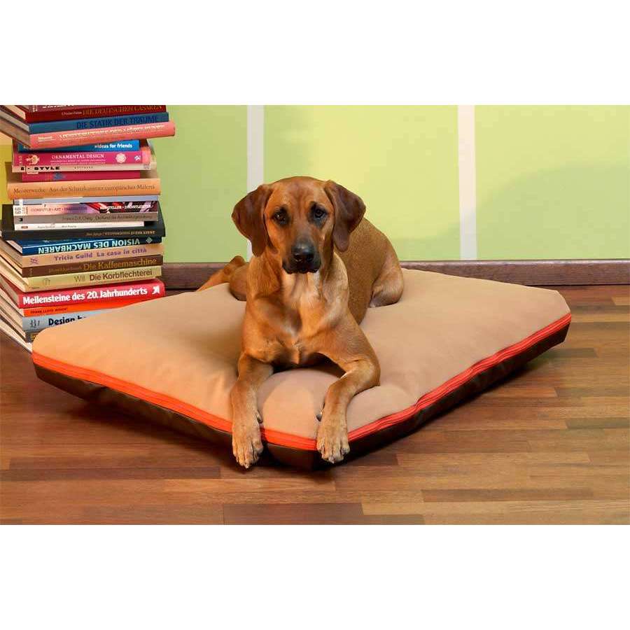 Pet Interiors Dog Cushion with Removable Cover PAULINE