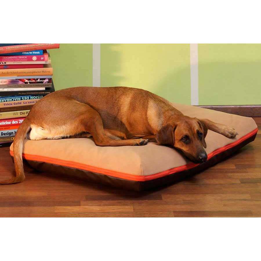 Pet Interiors Dog Cushion with Removable Cover PAULINE