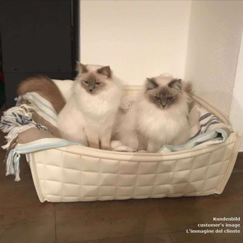 Pet Interiors Leather Cat Basket BOWL