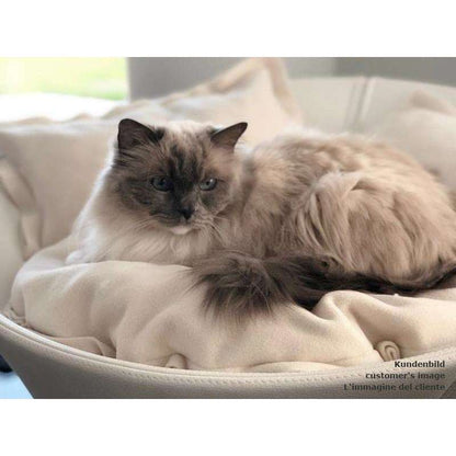 Pet Interiors Leather Pet Bed MILA