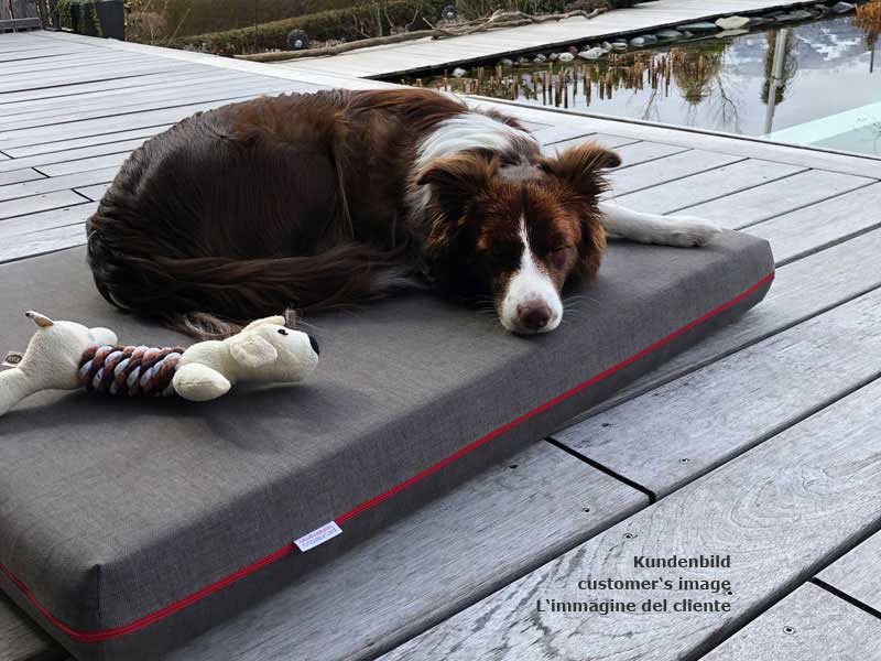 Pet Interiors Orthopedic Dog Mattress MARY