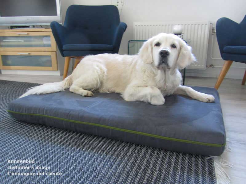Pet Interiors Orthopedic Dog Mattress MARY