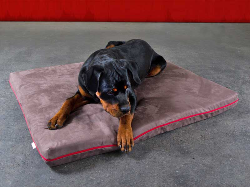 Pet Interiors Orthopedic Dog Mattress MARY