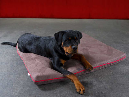 Pet Interiors Orthopedic Dog Mattress MARY