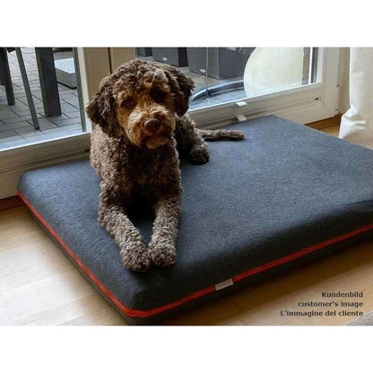 Pet Interiors Orthopedic Dog Mattress  & Blanket PAUL